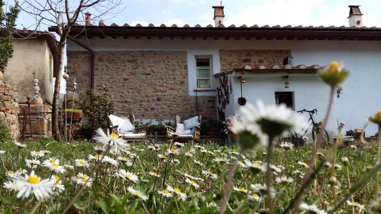 Villa Il Colle Calci Exterior foto