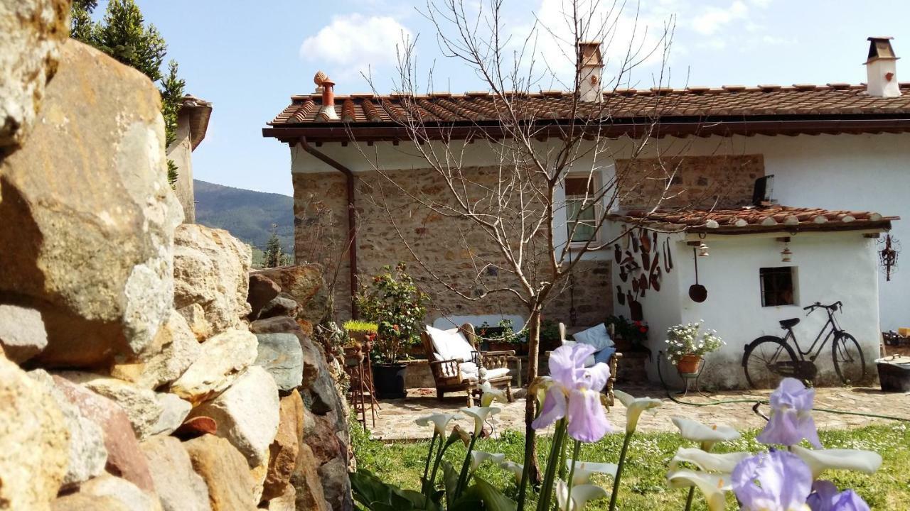 Villa Il Colle Calci Exterior foto